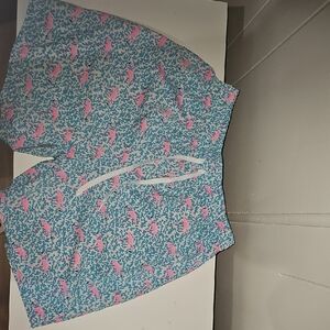 Chubbies Blue and Pink Swim Shorts